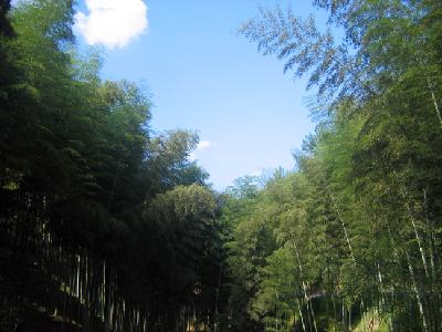 上垟镇 上垟镇