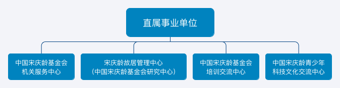 中国宋庆龄基金会 中国宋庆龄基金会