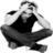 罗伯特·帕丁森小部件