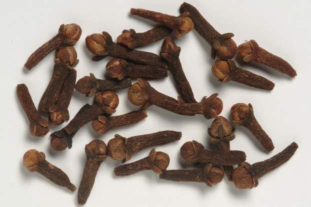 公丁香- 晒乾后的未开花蕾-桃金孃科蒲桃属 公丁香- 晒乾后的未开花蕾-桃金孃科蒲桃属
