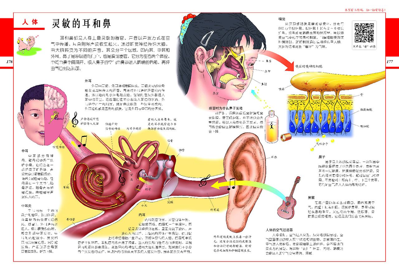 中国儿童百科全书 中国儿童百科全书