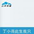 丁小雨此生我只爱你
